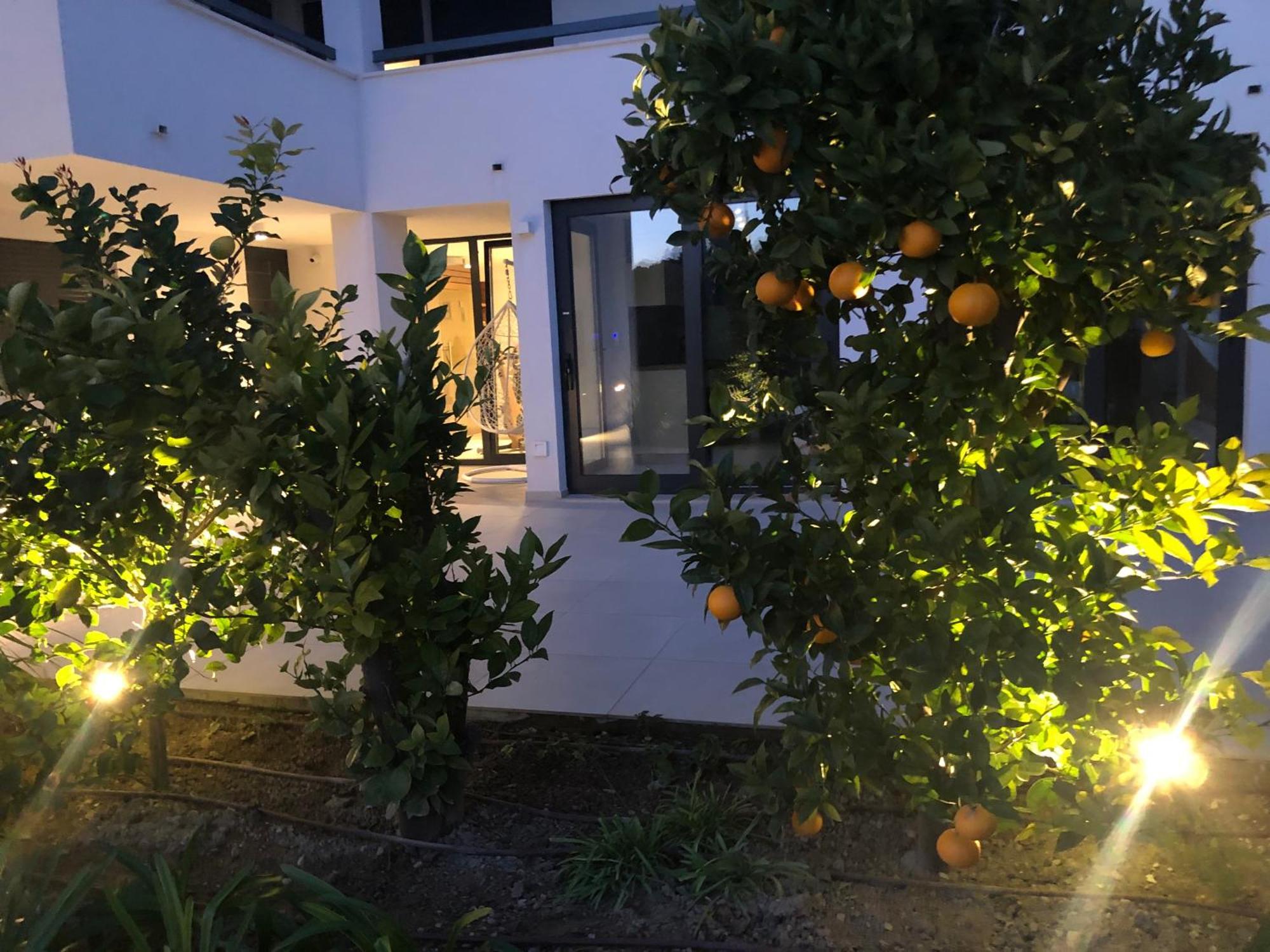 Apartments Villa Ladini Split Extérieur photo